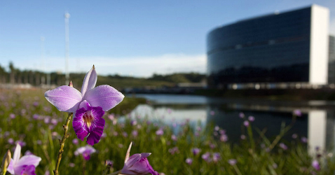 Foto: Cidade Administrativa